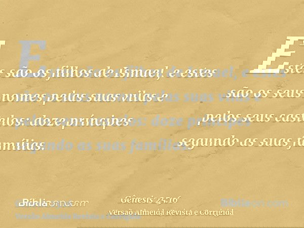 Estes são os filhos de Ismael, e estes são os seus nomes pelas suas vilas e pelos seus castelos: doze príncipes segundo as suas famílias.