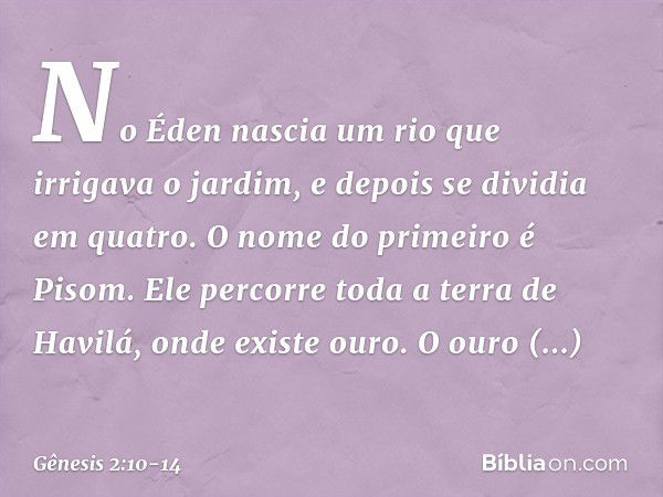 No Éden nascia um rio que irrigava o jardim, e depois se dividia em quatro. O nome do primeiro é Pisom. Ele percorre toda a terra de Havilá, onde existe ouro. O