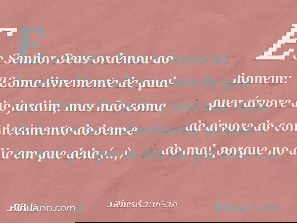 E o Senhor Deus ordenou ao homem: "Coma livremente de qualquer árvore do jardim, mas não coma da árvore do conhecimento do bem e do mal, porque no dia em que