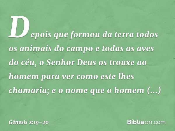 De­pois que formou da terra todos os animais do campo e todas as aves do céu, o Senhor Deus os trouxe ao homem para ver como este lhes chamaria; e o nome que o 