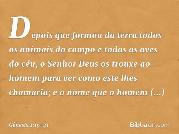 De­pois que formou da terra todos os animais do campo e todas as aves do céu, o Senhor Deus os trouxe ao homem para ver como este lhes chamaria; e o nome que o 