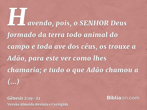 Havendo, pois, o SENHOR Deus formado da terra todo animal do campo e toda ave dos céus, os trouxe a Adão, para este ver como lhes chamaria; e tudo o que Adão ch