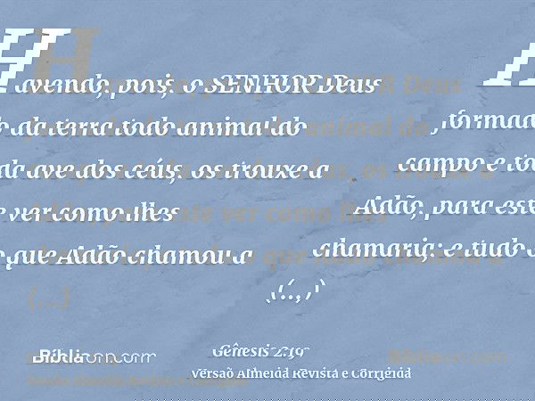 Havendo, pois, o SENHOR Deus formado da terra todo animal do campo e toda ave dos céus, os trouxe a Adão, para este ver como lhes chamaria; e tudo o que Adão ch