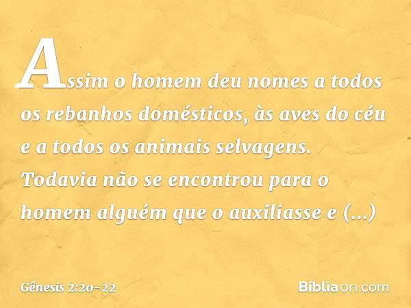 As­sim o homem deu nomes a todos os rebanhos domésticos, às aves do céu e a todos os animais selvagens. Todavia não se encontrou para o homem alguém que o auxil