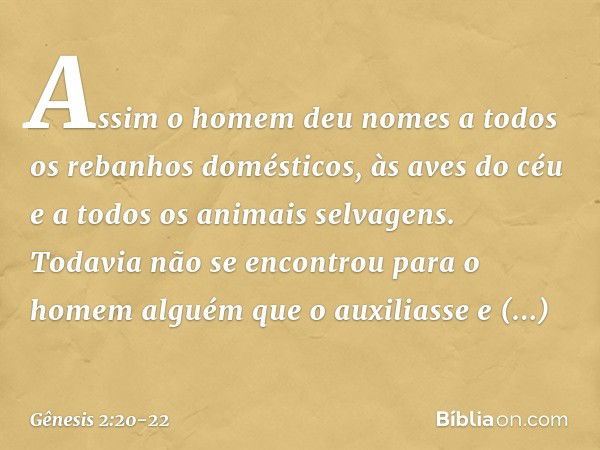 As­sim o homem deu nomes a todos os rebanhos domésticos, às aves do céu e a todos os animais selvagens. Todavia não se encontrou para o homem alguém que o auxil