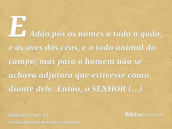 E Adão pôs os nomes a todo o gado, e às aves dos céus, e a todo animal do campo; mas para o homem não se achava adjutora que estivesse como diante dele.Então, o