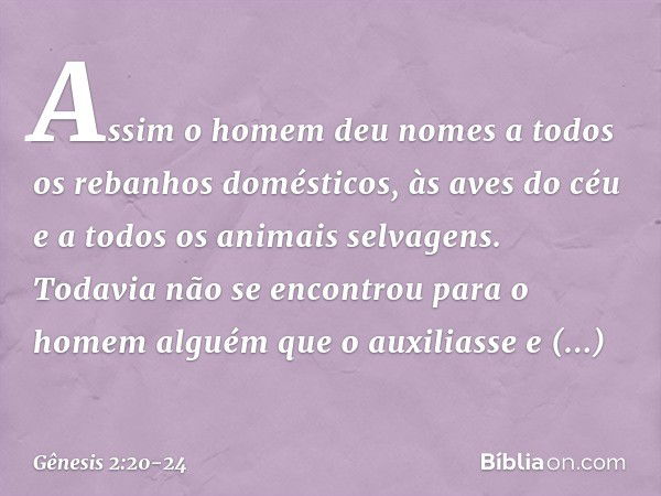 As­sim o homem deu nomes a todos os rebanhos domésticos, às aves do céu e a todos os animais selvagens. Todavia não se encontrou para o homem alguém que o auxil