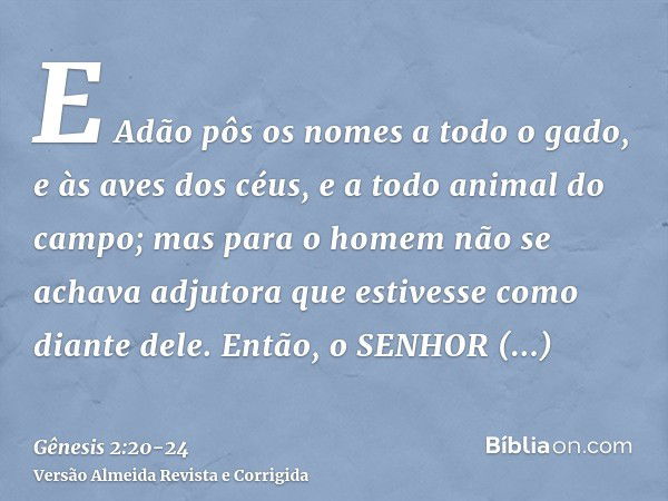 E Adão pôs os nomes a todo o gado, e às aves dos céus, e a todo animal do campo; mas para o homem não se achava adjutora que estivesse como diante dele.Então, o