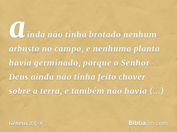 ainda não tinha brotado nenhum arbusto no campo, e nenhuma plan­ta havia germinado, porque o ­Senhor Deus ainda não tinha feito chover sobre a terra, e tam­bém 