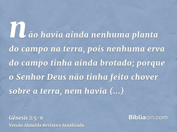 não havia ainda nenhuma planta do campo na terra, pois nenhuma erva do campo tinha ainda brotado; porque o Senhor Deus não tinha feito chover sobre a terra, nem