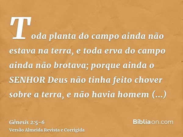 Toda planta do campo ainda não estava na terra, e toda erva do campo ainda não brotava; porque ainda o SENHOR Deus não tinha feito chover sobre a terra, e não h