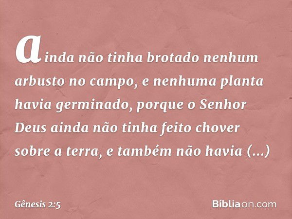 ainda não tinha brotado nenhum arbusto no campo, e nenhuma plan­ta havia germinado, porque o ­Senhor Deus ainda não tinha feito chover sobre a terra, e tam­bém 