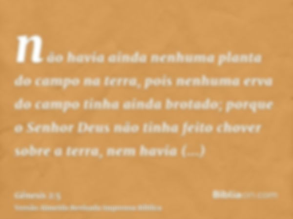 não havia ainda nenhuma planta do campo na terra, pois nenhuma erva do campo tinha ainda brotado; porque o Senhor Deus não tinha feito chover sobre a terra, nem