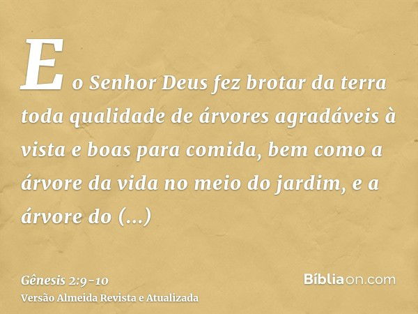 E o Senhor Deus fez brotar da terra toda qualidade de árvores agradáveis à vista e boas para comida, bem como a árvore da vida no meio do jardim, e a árvore do 