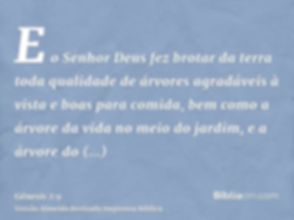 E o Senhor Deus fez brotar da terra toda qualidade de árvores agradáveis à vista e boas para comida, bem como a árvore da vida no meio do jardim, e a árvore do 