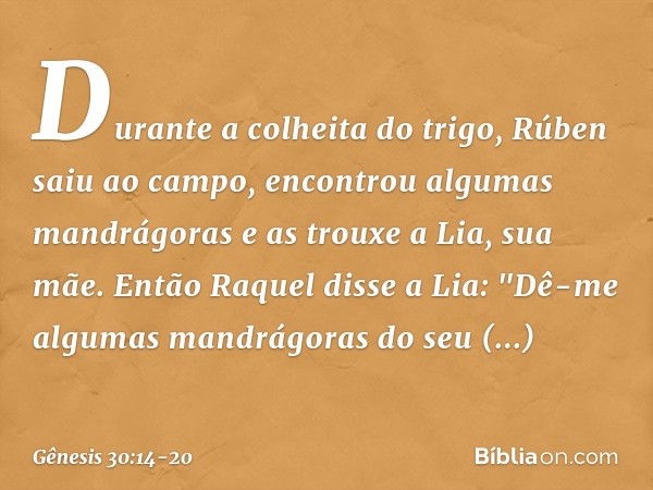 Durante a colheita do trigo, Rúben saiu ao campo, encontrou algumas mandrágoras e as trouxe a Lia, sua mãe. Então Raquel disse a Lia: "Dê-me algumas mandrágoras