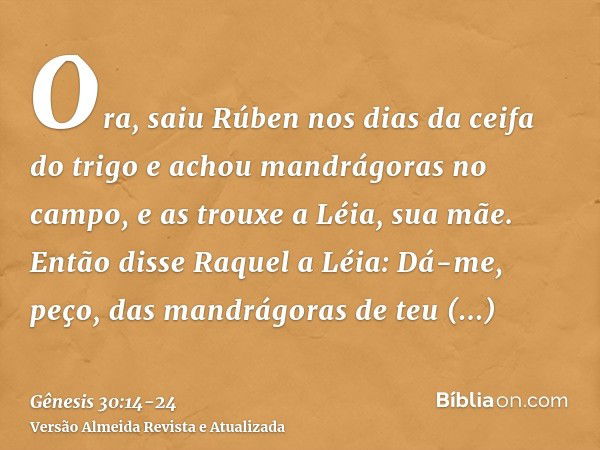 Ora, saiu Rúben nos dias da ceifa do trigo e achou mandrágoras no campo, e as trouxe a Léia, sua mãe. Então disse Raquel a Léia: Dá-me, peço, das mandrágoras de