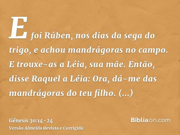 E foi Rúben, nos dias da sega do trigo, e achou mandrágoras no campo. E trouxe-as a Léia, sua mãe. Então, disse Raquel a Léia: Ora, dá-me das mandrágoras do teu