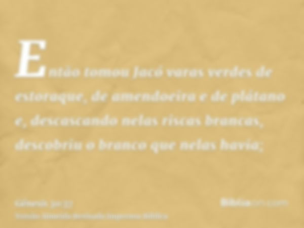 Então tomou Jacó varas verdes de estoraque, de amendoeira e de plátano e, descascando nelas riscas brancas, descobriu o branco que nelas havia;