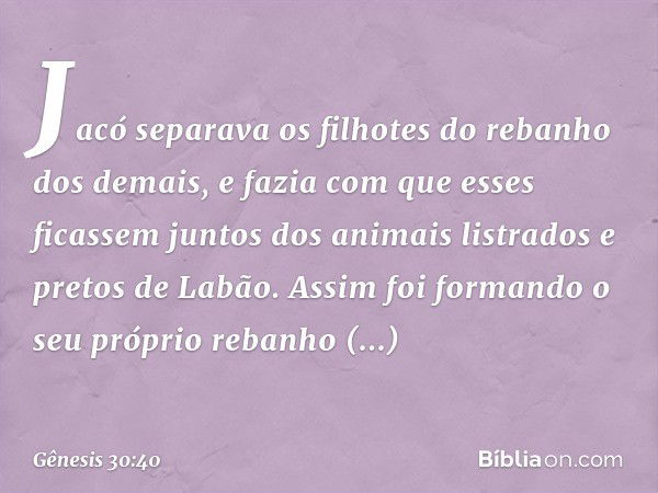 Ja­có separava os filhotes do rebanho dos demais, e fazia com que esses ficassem juntos dos animais listrados e pretos de Labão. Assim foi formando o seu própri