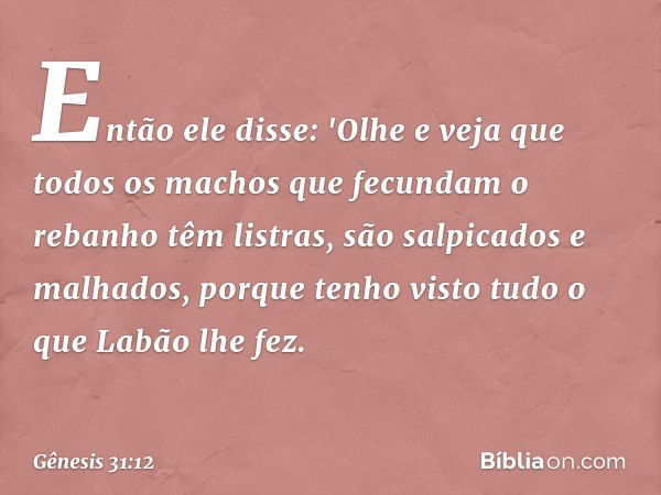 En­tão ele disse: 'Olhe e veja que todos os machos que fecundam o rebanho têm listras, são salpica­dos e ma­lhados, porque tenho visto tudo o que Labão lhe fez.