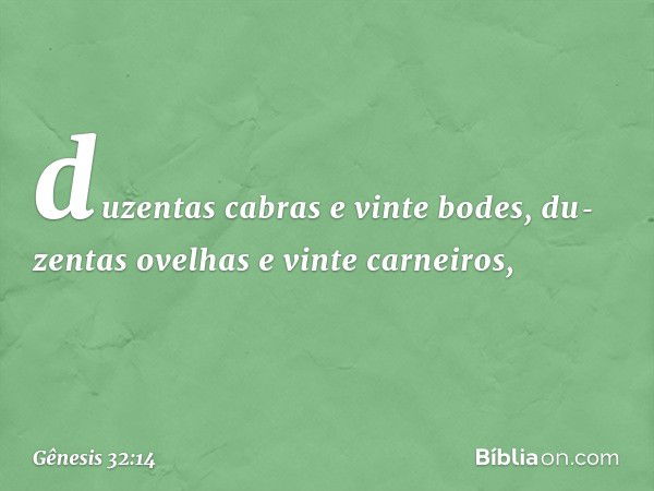 duzen­tas cabras e vinte bodes, du­zentas ovelhas e vinte carneiros, -- Gênesis 32:14