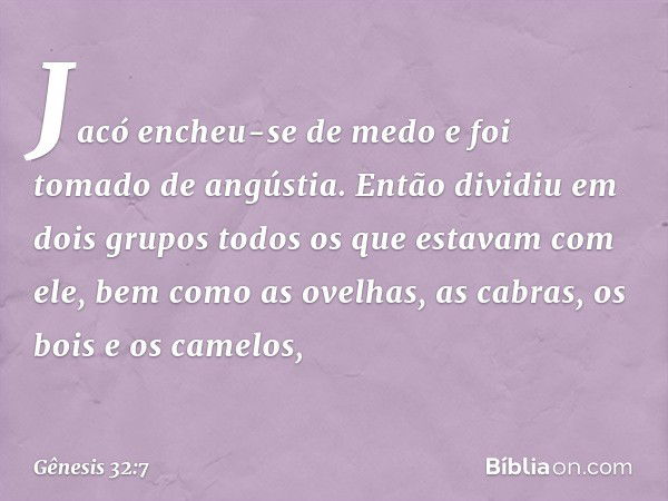 Jacó encheu-se de medo e foi tomado de angústia. Então dividiu em dois grupos todos os que estavam com ele, bem como as ovelhas, as cabras, os bois e os camelos