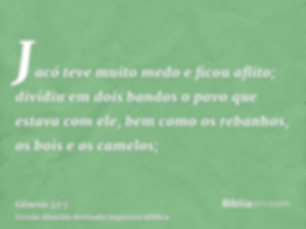 Jacó teve muito medo e ficou aflito; dividiu em dois bandos o povo que estava com ele, bem como os rebanhos, os bois e os camelos;