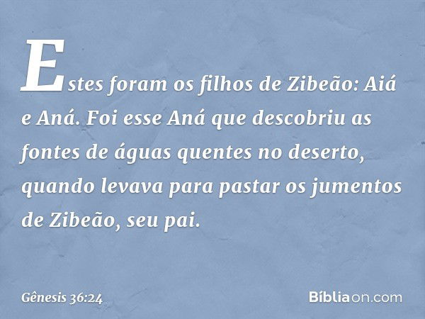 Estes foram os filhos de Zibeão:
Aiá e Aná. Foi esse Aná que descobriu as fontes de águas quentes no deserto, quan­do levava para pastar os jumentos de Zibeão, 