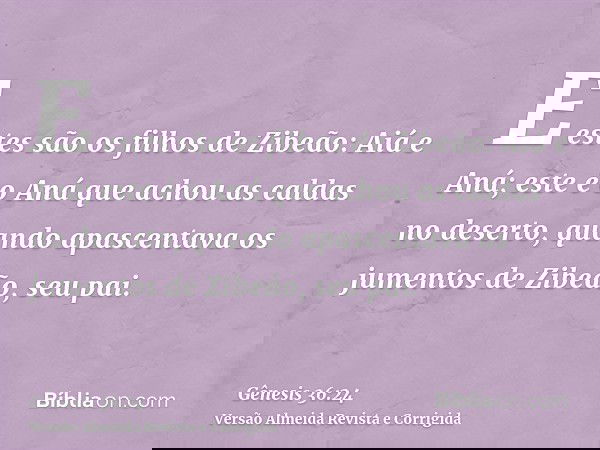 E estes são os filhos de Zibeão: Aiá e Aná; este é o Aná que achou as caldas no deserto, quando apascentava os jumentos de Zibeão, seu pai.