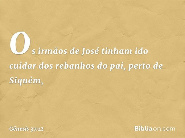 Os irmãos de José tinham ido cuidar dos rebanhos do pai, perto de Siquém, -- Gênesis 37:12