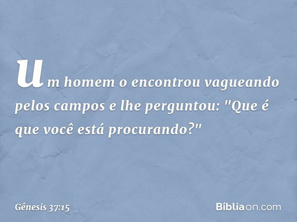 um homem o encontrou vagueando pelos campos e lhe perguntou: "Que é que você está procurando?" -- Gênesis 37:15