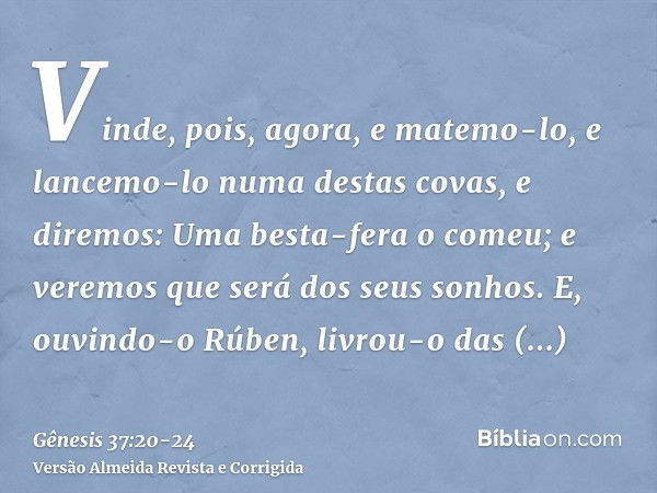 Vinde, pois, agora, e matemo-lo, e lancemo-lo numa destas covas, e diremos: Uma besta-fera o comeu; e veremos que será dos seus sonhos.E, ouvindo-o Rúben, livro