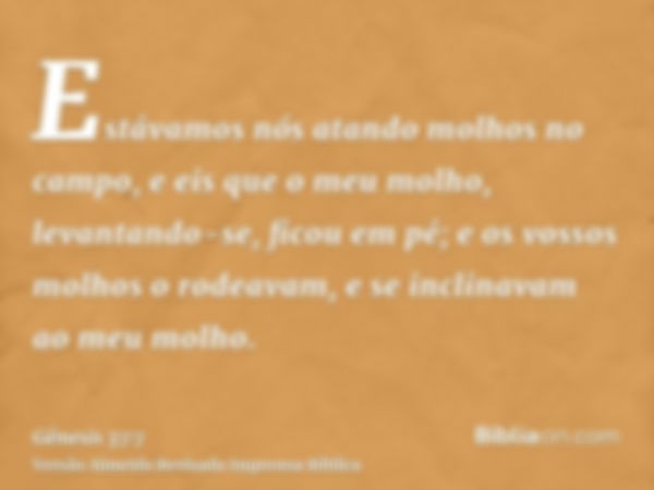 Estávamos nós atando molhos no campo, e eis que o meu molho, levantando-se, ficou em pé; e os vossos molhos o rodeavam, e se inclinavam ao meu molho.