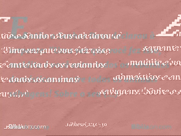 Então o Senhor Deus declarou à serpente:
"Uma vez que você fez isso,
maldita é você
entre todos os rebanhos domésticos
e entre todos os animais selvagens!
Sobr