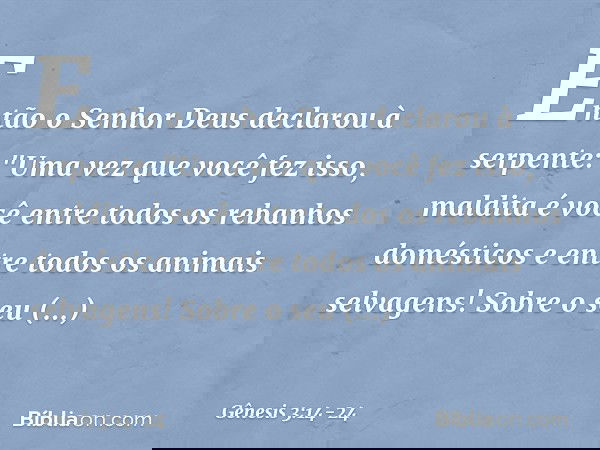 Então o Senhor Deus declarou à serpente:
"Uma vez que você fez isso,
maldita é você
entre todos os rebanhos domésticos
e entre todos os animais selvagens!
Sobr