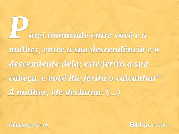 Porei inimizade
entre você e a mulher,
entre a sua descendência
e o descendente dela;
este ferirá a sua cabeça,
e você lhe ferirá o calcanhar". À mulher, ele de