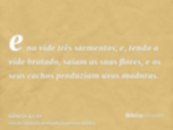 e na vide três sarmentos; e, tendo a vide brotado, saíam as suas flores, e os seus cachos produziam uvas maduras.