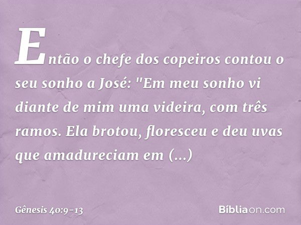 Então o chefe dos copeiros contou o seu sonho a José: "Em meu sonho vi diante de mim uma videira, com três ramos. Ela brotou, flo­resceu e deu uvas que amadurec