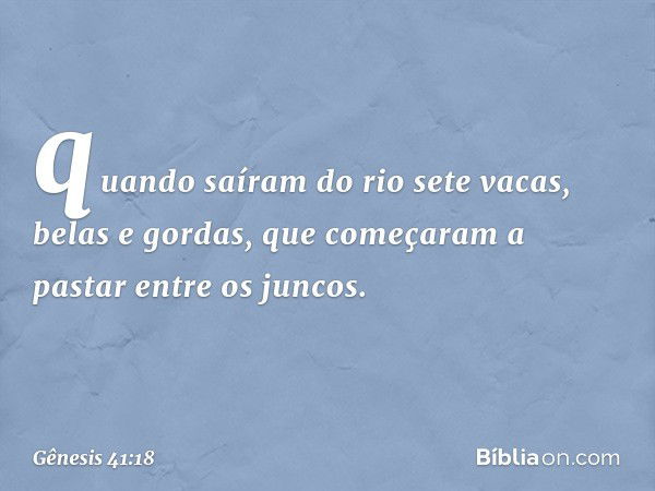 quan­do saíram do rio sete vacas, belas e gor­das, que começaram a pastar entre os juncos. -- Gênesis 41:18