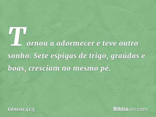 Tornou a adormecer e teve outro sonho. Sete espigas de trigo, graúdas e boas, cresciam no mesmo pé. -- Gênesis 41:5