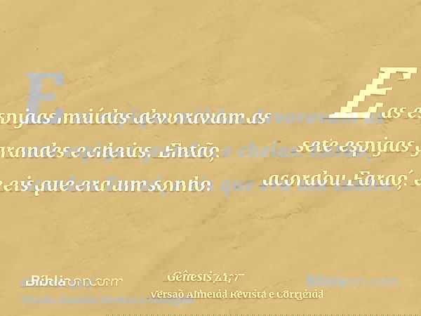 E as espigas miúdas devoravam as sete espigas grandes e cheias. Então, acordou Faraó, e eis que era um sonho.