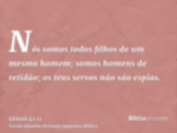 Nós somos todos filhos de um mesmo homem; somos homens de retidão; os teus servos não são espias.