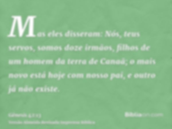 Mas eles disseram: Nós, teus servos, somos doze irmãos, filhos de um homem da terra de Canaã; o mais novo está hoje com nosso pai, e outro já não existe.