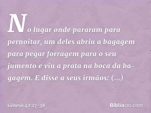 No lugar onde pararam para pernoitar, um deles abriu a bagagem para pegar forragem para o seu jumento e viu a prata na boca da ba­gagem. E disse a seus irmãos: 