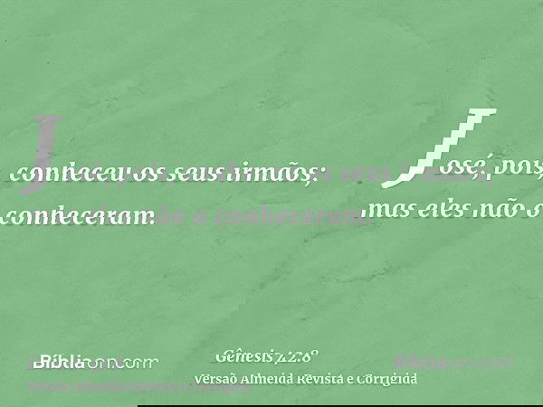 José, pois, conheceu os seus irmãos; mas eles não o conheceram.