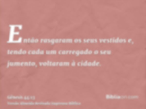 Então rasgaram os seus vestidos e, tendo cada um carregado o seu jumento, voltaram à cidade.