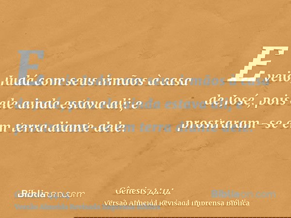 E veio Judá com seus irmãos à casa de José, pois ele ainda estava ali; e prostraram-se em terra diante dele.