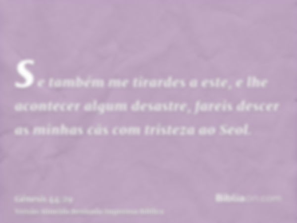 se também me tirardes a este, e lhe acontecer algum desastre, fareis descer as minhas cãs com tristeza ao Seol.