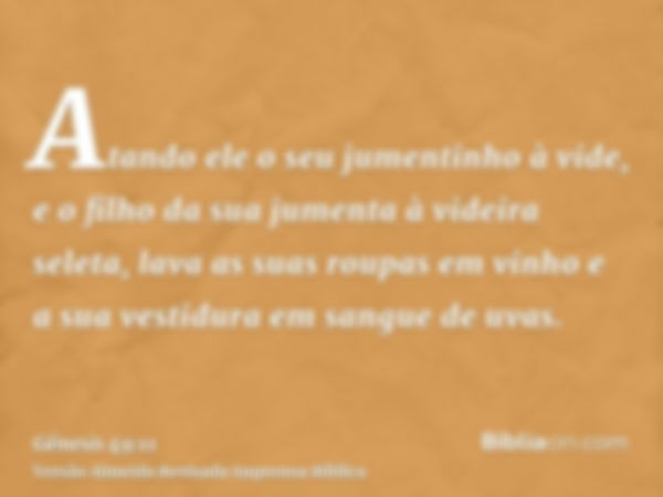 Atando ele o seu jumentinho à vide, e o filho da sua jumenta à videira seleta, lava as suas roupas em vinho e a sua vestidura em sangue de uvas.